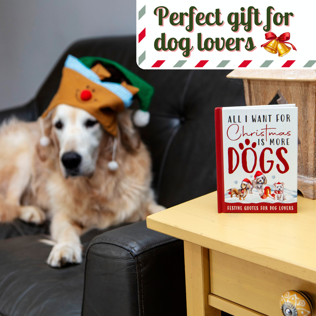 Dog wearing a festive hat with a book titled 'All I Want for Christmas is More Dogs' on a coffee table.
