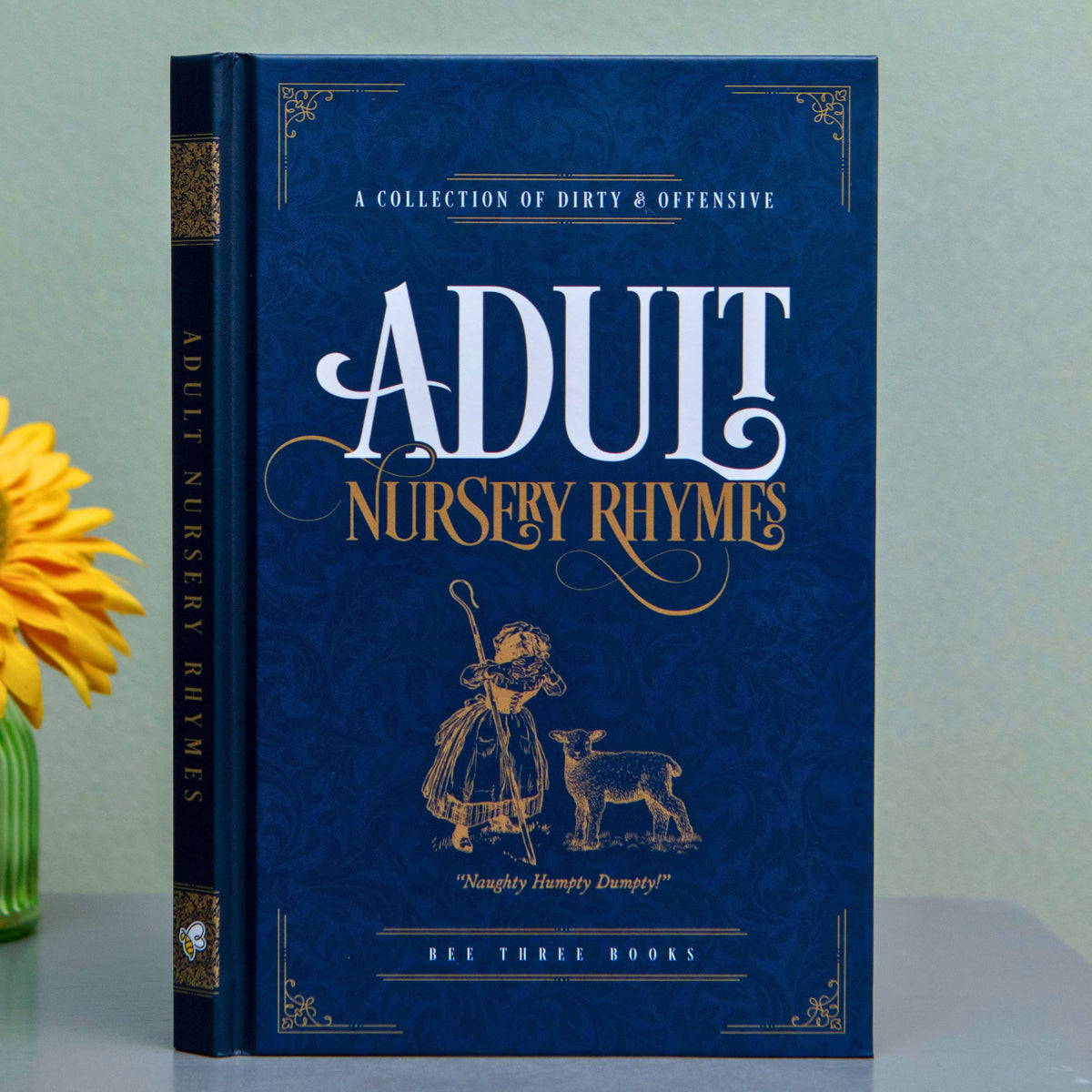 Book titled 'Adult Nursery Rhymes' with decorative cover on a light gray background