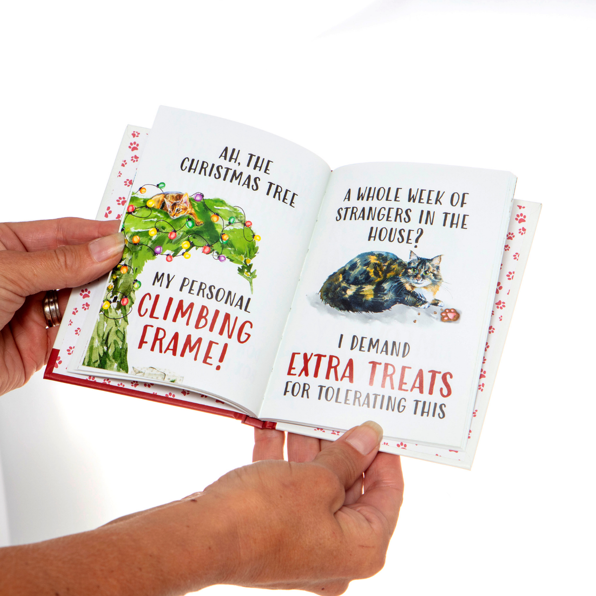 Open book held by a hand with humorous cat-themed text and illustrations on white background