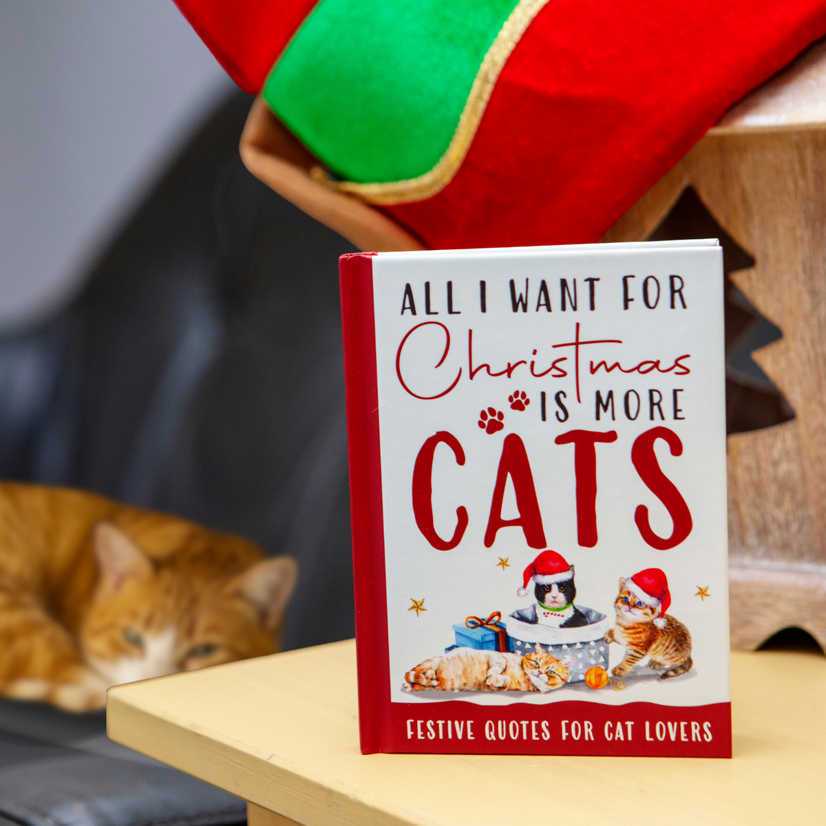 Book titled 'All I Want for Christmas is More Cats' on a table with a cat in the background