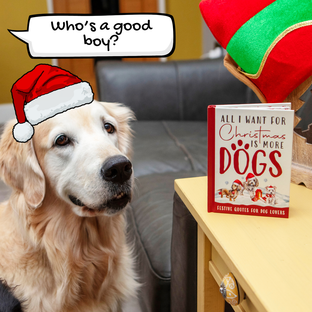 Dog wearing a Santa hat with a book titled 'All I Want for Christmas is More Dogs' on a table.