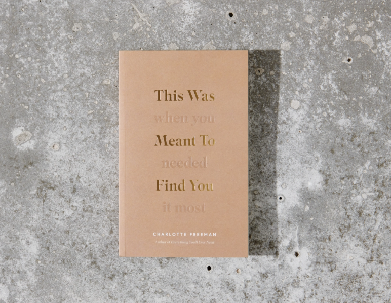 Book titled 'This Was When You Meant to Find You' by Charlotte Freeman on a textured gray surface