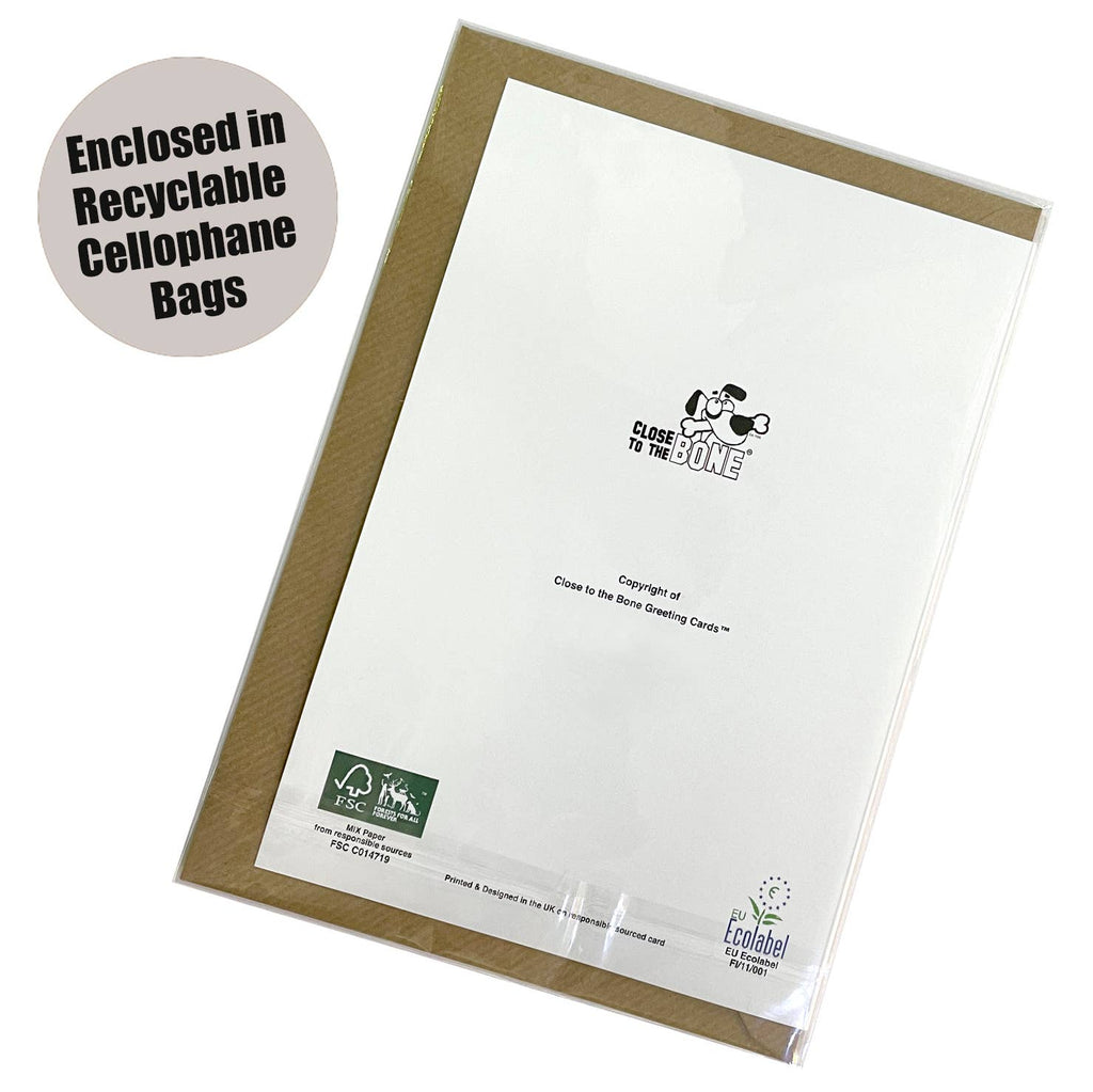 Recyclable cellophane bag with branding on a white background
